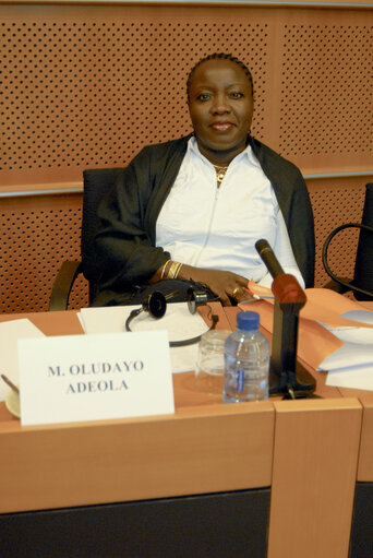 Fotogrāfija 3: Members of the ECOWAS delegation