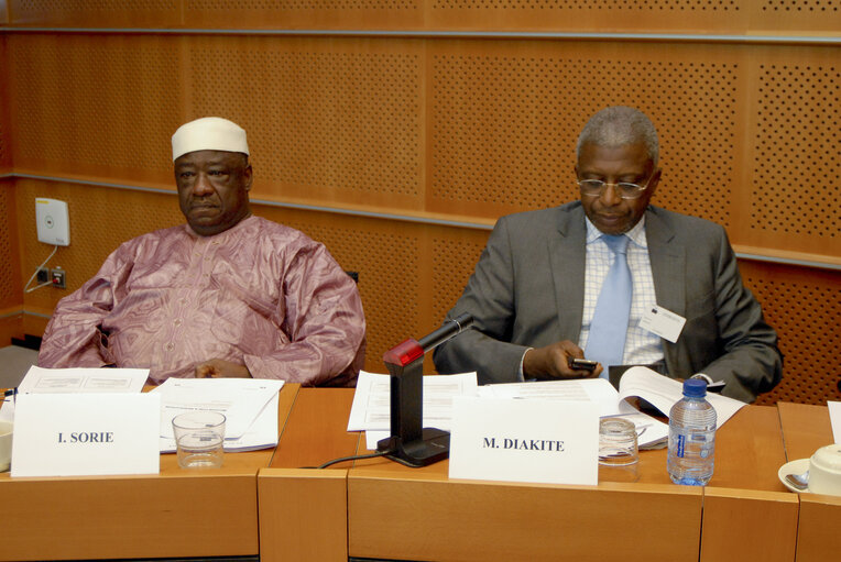 Foto 8: Members of the ECOWAS delegation