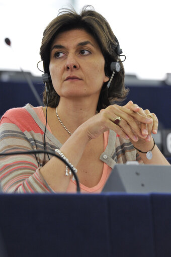 Sylvie GOULARD, Mep