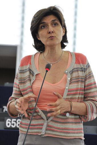 Sylvie GOULARD, Mep