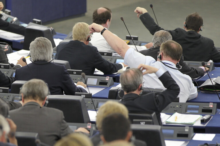 Fotografia 17: Plenary session in Strasbourg