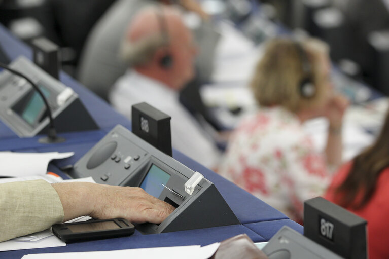 Plenary session in Strasbourg