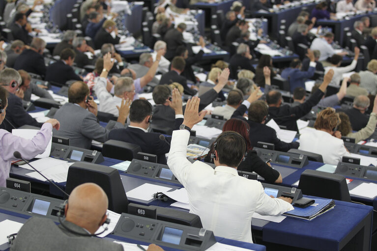 Plenary session in Strasbourg