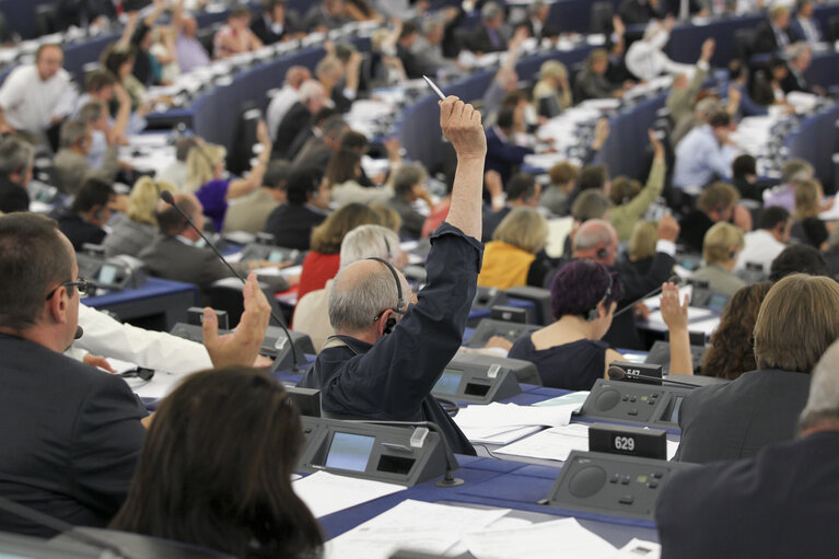 Plenary session in Strasbourg