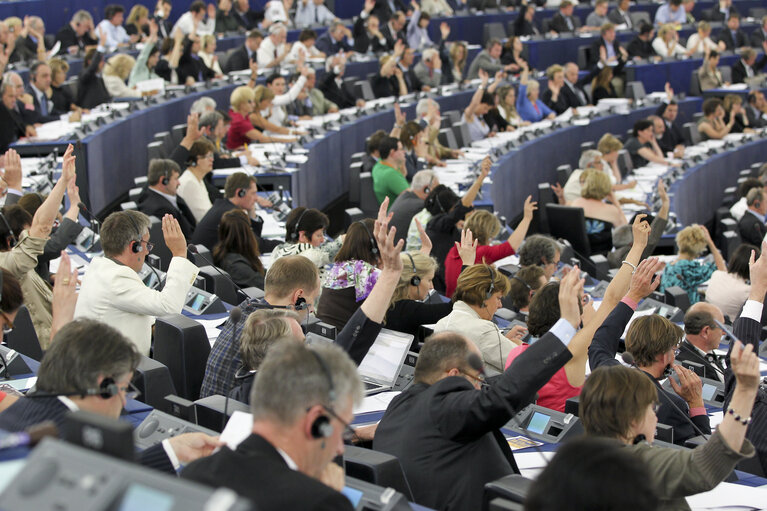 Plenary session in Strasbourg