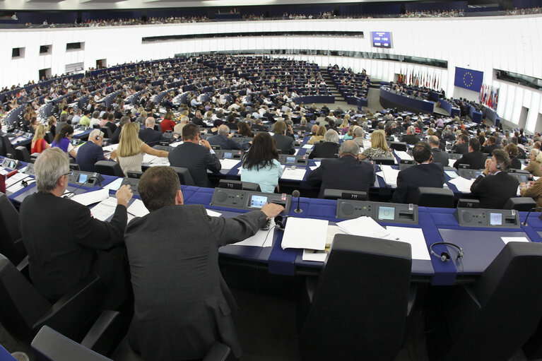 Plenary session in Strasbourg