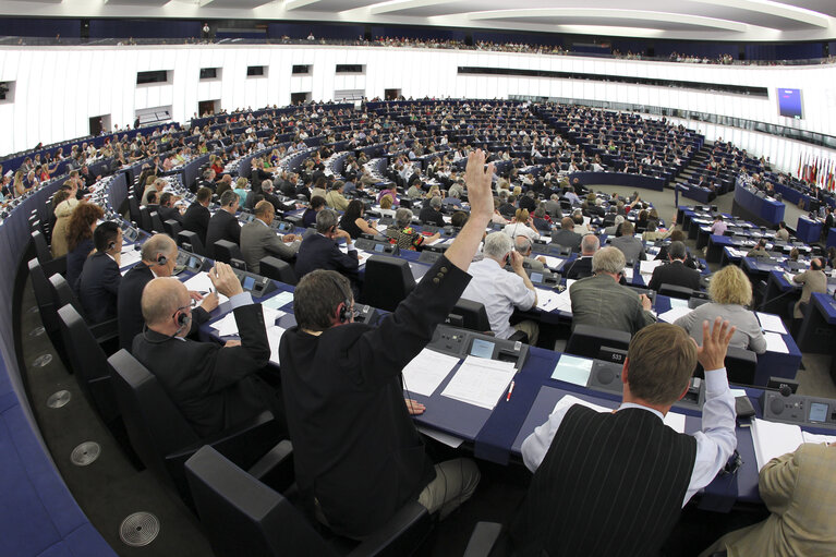 Plenary session in Strasbourg