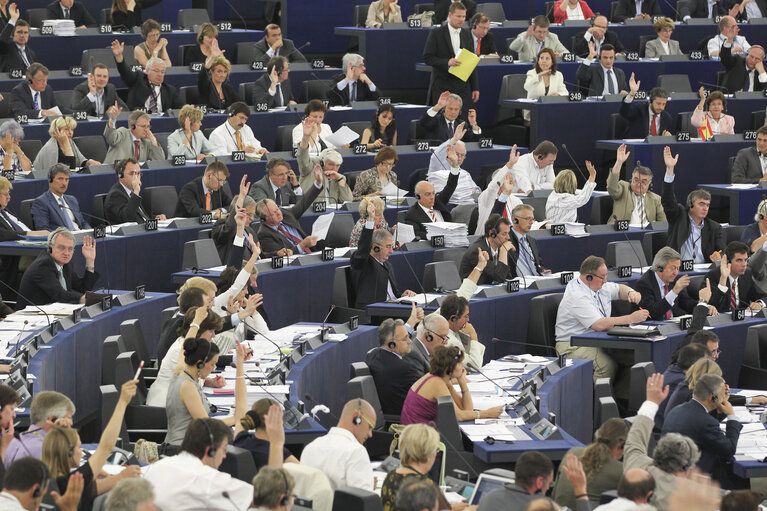 Plenary session in Strasbourg