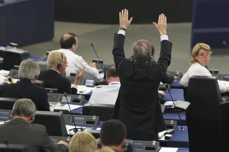 Plenary session in Strasbourg