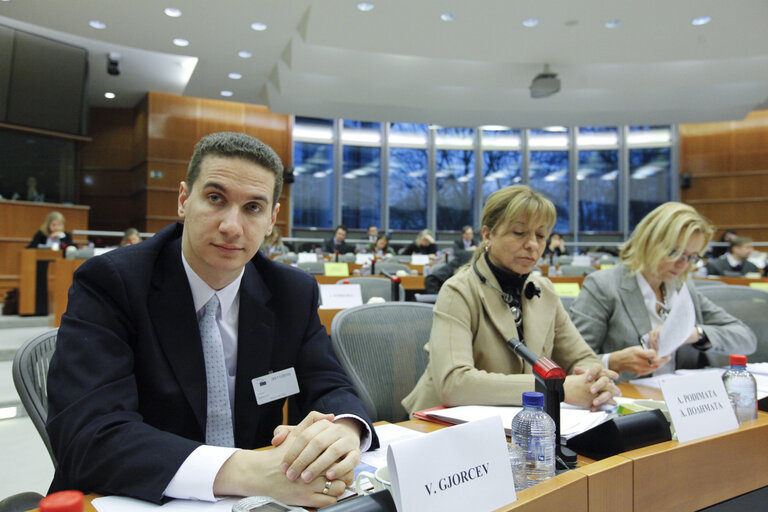 8th EU-FYROM meeting