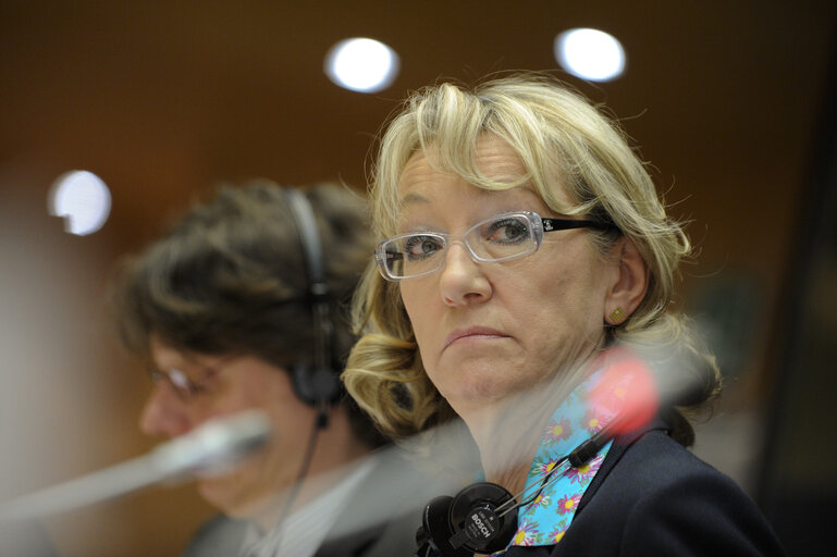 Public Hearing - Role of the EU Budget in achieving the EU 2020 Goals