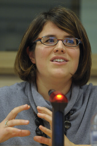 Foto 1: Presentation of FRA Report on Homophobia, transphobia and discrimination