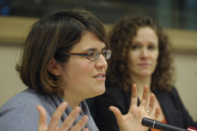 Foto 4: Presentation of FRA Report on Homophobia, transphobia and discrimination