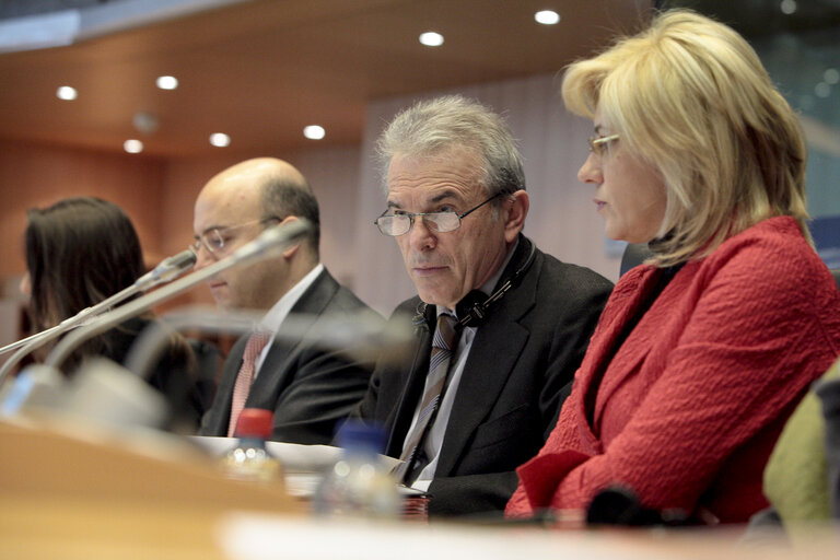 Φωτογραφία 5: AFET - Hearing on Migratory flows arising from instability: scope and role of EU foreign policy chaired by Mep Fiorello Provera