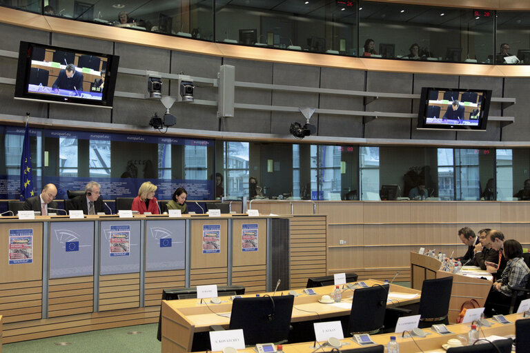 Φωτογραφία 4: AFET - Hearing on Migratory flows arising from instability: scope and role of EU foreign policy chaired by Mep Fiorello Provera