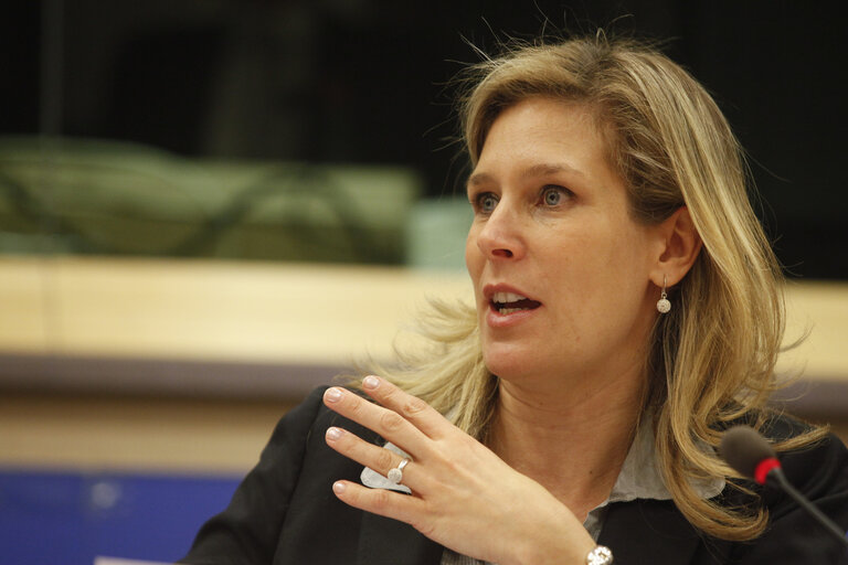 Fotagrafa 47: Science and Technology Options Assessment (STOA) - Is an oil free future possible ? - The science, technology and economics of running Europe without oil