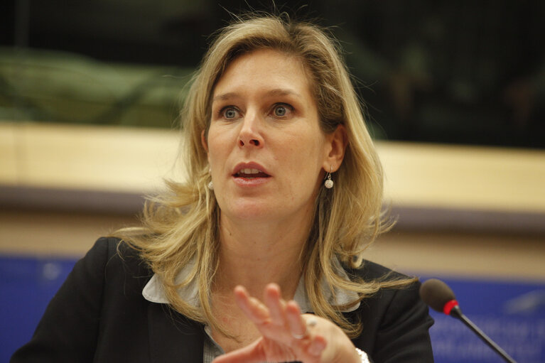 Science and Technology Options Assessment (STOA) - Is an oil free future possible ? - The science, technology and economics of running Europe without oil