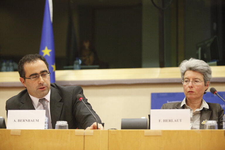 Fotagrafa 12: Science and Technology Options Assessment (STOA) - Is an oil free future possible ? - The science, technology and economics of running Europe without oil