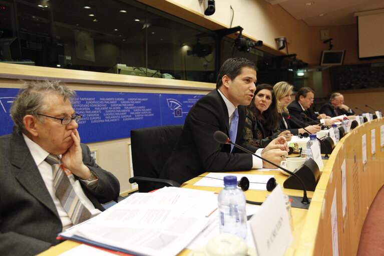 Science and Technology Options Assessment (STOA) - Is an oil free future possible ? - The science, technology and economics of running Europe without oil