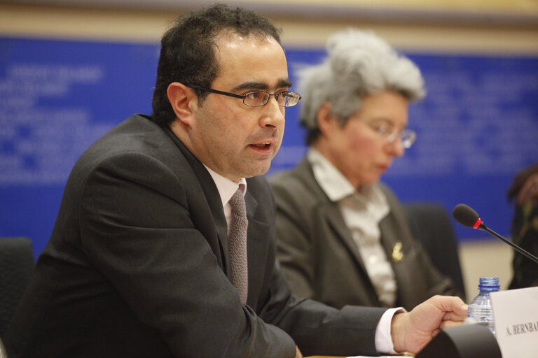 Fotagrafa 9: Science and Technology Options Assessment (STOA) - Is an oil free future possible ? - The science, technology and economics of running Europe without oil