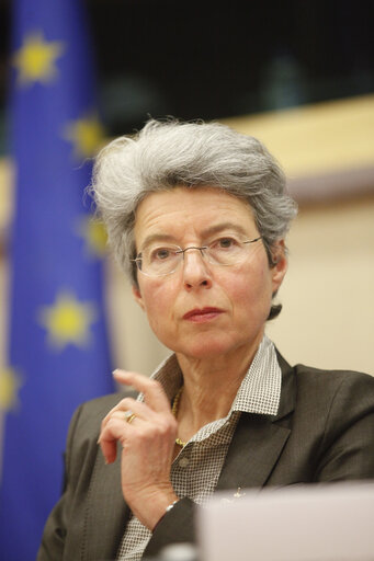 Fotagrafa 4: Science and Technology Options Assessment (STOA) - Is an oil free future possible ? - The science, technology and economics of running Europe without oil