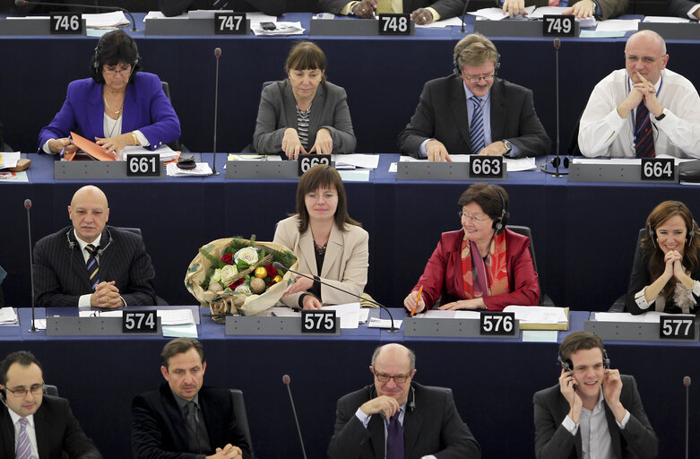 Foto 1: Hemicycle du Parlement Europeen. Vote du budget 2011