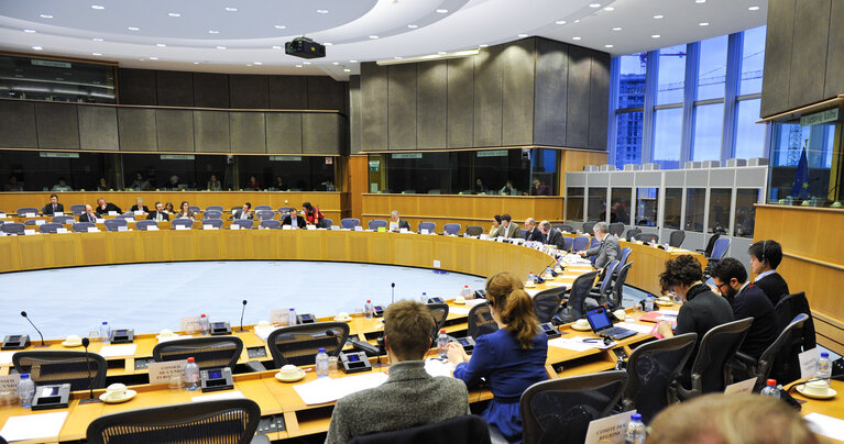 Foto 13: IMCO Committee meeting : Single market governance within the European Semester 2014