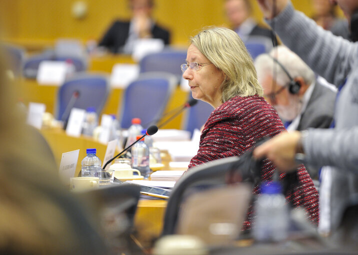 Foto 1: IMCO Committee meeting : Single market governance within the European Semester 2014