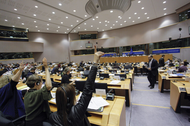 Foto 5: ITRE Joint Debate and votes