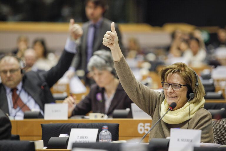 Foto 4: ITRE Joint Debate and votes