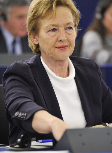 Foto 2: Mazej KUKOVIC Zofija in plenary during voting session