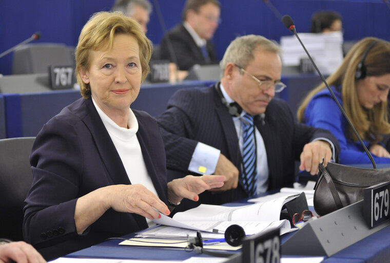 Foto 5: Mazej KUKOVIC Zofija in plenary during voting session