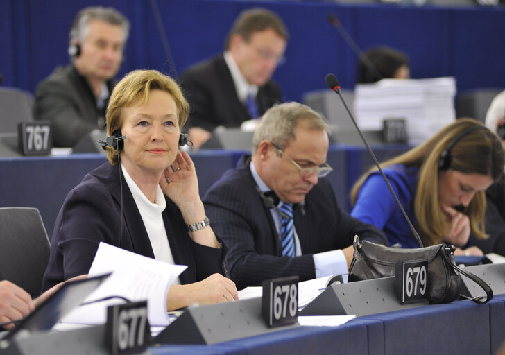 Foto 4: Mazej KUKOVIC Zofija in plenary during voting session