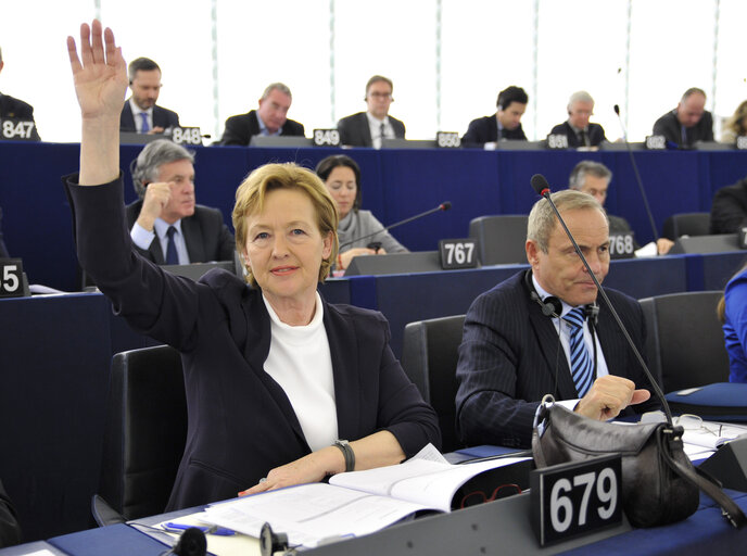 Foto 3: Mazej KUKOVIC Zofija in plenary during voting session