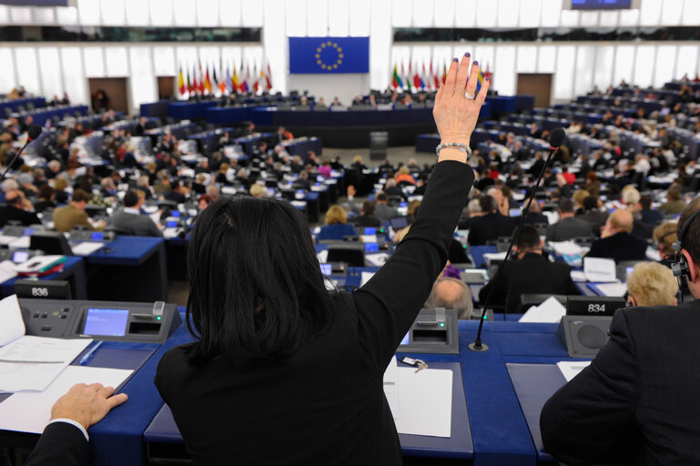 General views of Meps during votes