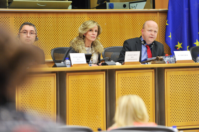 Valokuva 17: CONT Public Meeting:  Discharge 2012: EU general budget