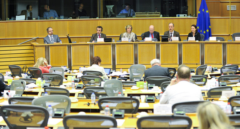 Fotografia 8: CONT Public Meeting:  Discharge 2012: EU general budget