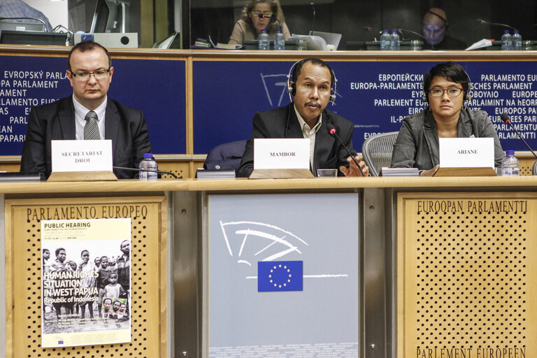 Photo 15: DROI Hearing on the human rights situation in West Papua, Republic of Indonesia