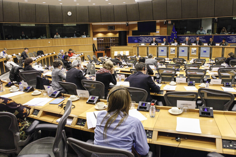 Fotografi 7: DROI Hearing on the human rights situation in West Papua, Republic of Indonesia