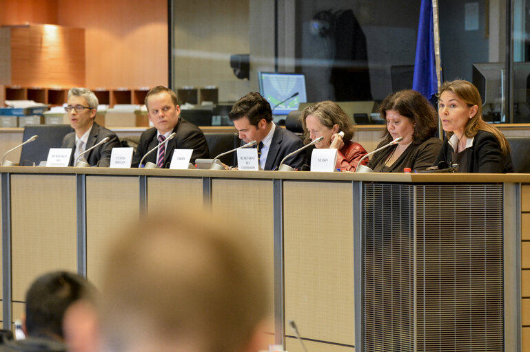 Photo 5: ECON/EMPL committee meeting - Evaluation of the structure, the role and operations of the troika (Commission, ECB and IMF) in euro area programme countries