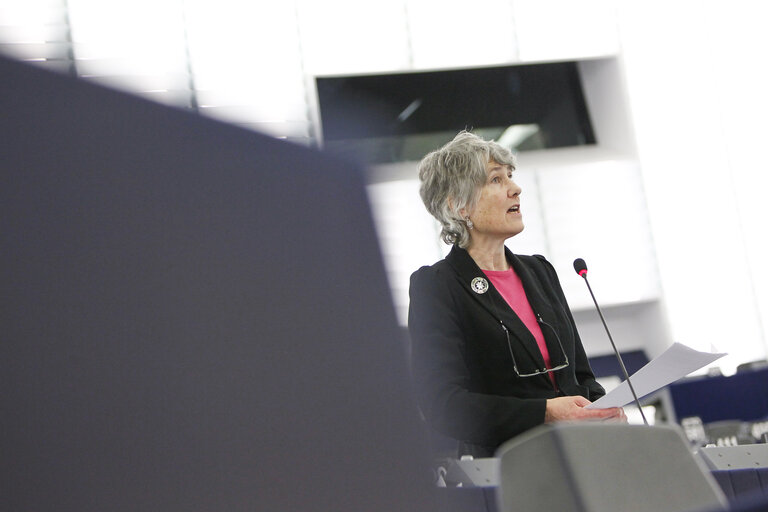 Fotografie 10: Plenary session week 6 2014 - A 2030 framework for climate and energy policies