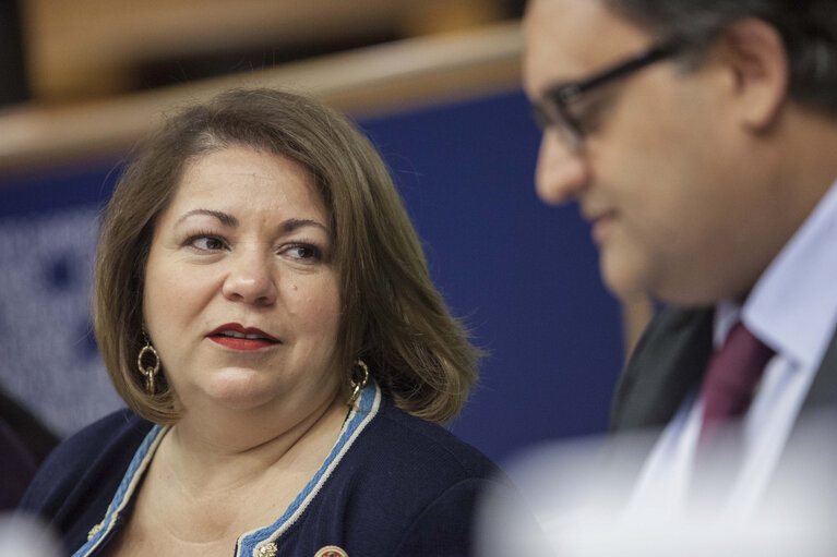 Fotografija 22: Gender Equality and Diversity in European Life for a more representative, equal and Democratic Europe