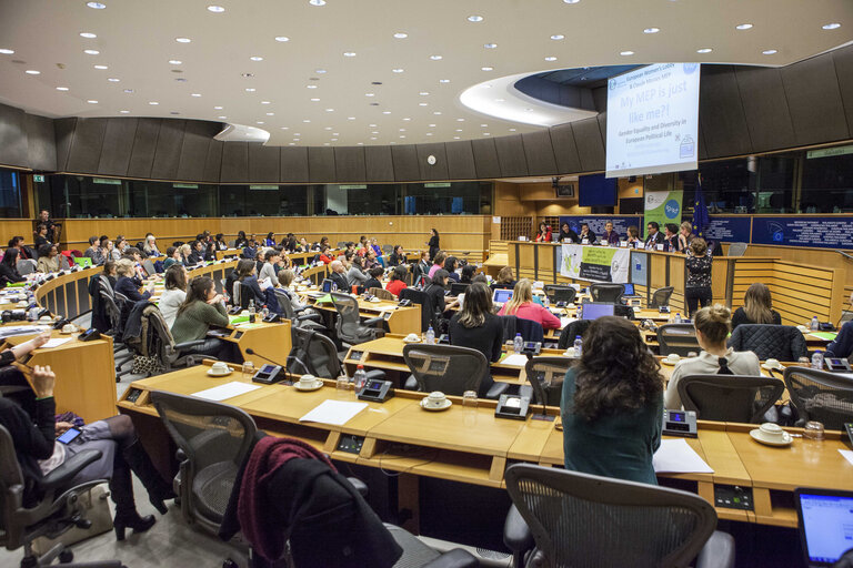 Fotografija 16: Gender Equality and Diversity in European Life for a more representative, equal and Democratic Europe