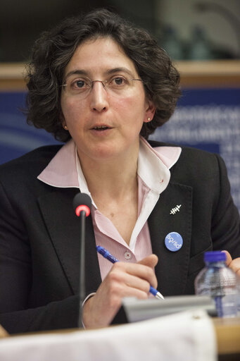 Fotografija 8: Gender Equality and Diversity in European Life for a more representative, equal and Democratic Europe