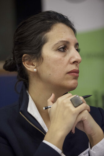 Fotografija 5: Gender Equality and Diversity in European Life for a more representative, equal and Democratic Europe