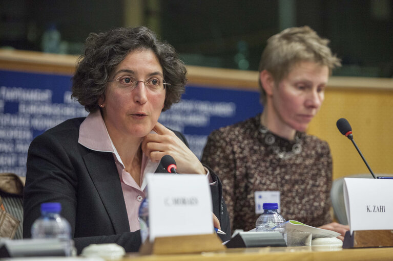 Fotografija 3: Gender Equality and Diversity in European Life for a more representative, equal and Democratic Europe