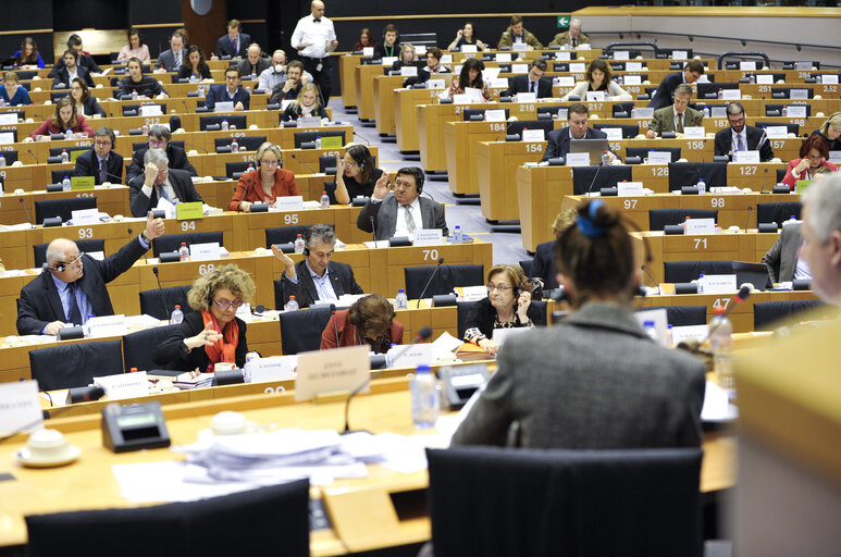 Foto 6: ENVI Committee Meeting: Votes