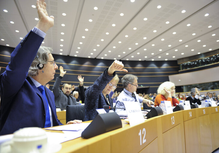 Foto 5: ENVI Committee Meeting: Votes