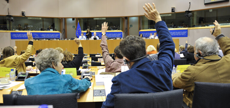 Foto 2: ENVI Committee Meeting: Votes