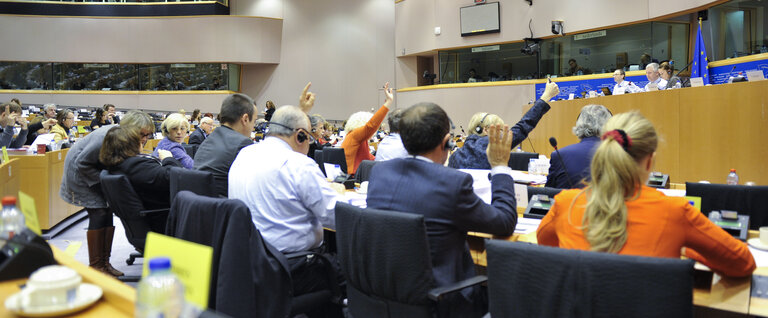 Foto 4: ENVI Committee Meeting: Votes